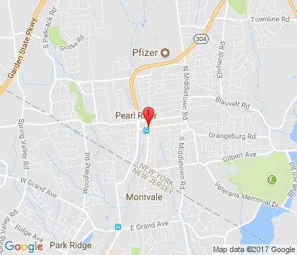 logo-image - pearl-river-ny